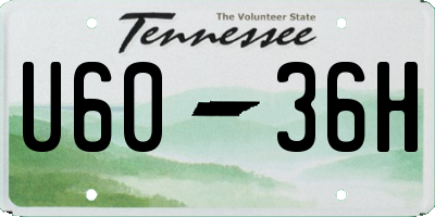 TN license plate U6036H
