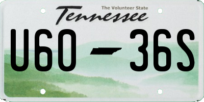 TN license plate U6036S