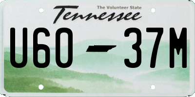 TN license plate U6037M