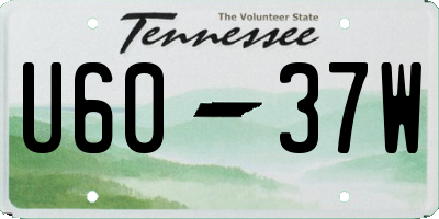 TN license plate U6037W