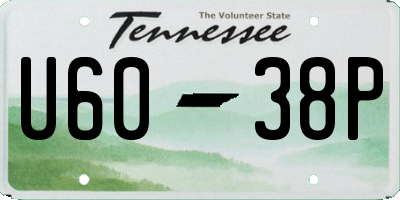 TN license plate U6038P