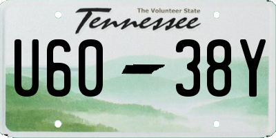 TN license plate U6038Y