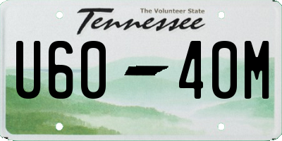 TN license plate U6040M