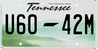 TN license plate U6042M