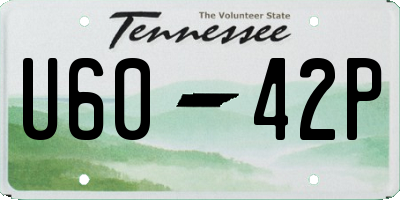 TN license plate U6042P