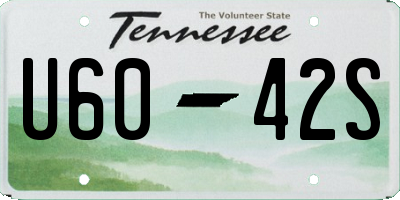 TN license plate U6042S