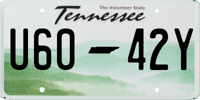 TN license plate U6042Y