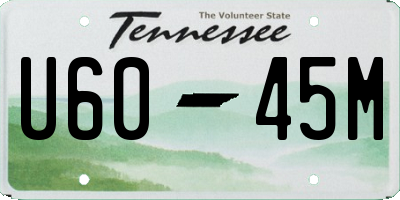 TN license plate U6045M