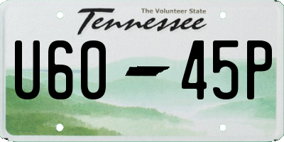 TN license plate U6045P