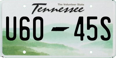 TN license plate U6045S