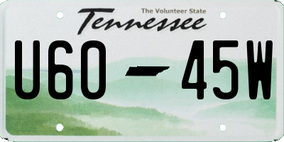 TN license plate U6045W