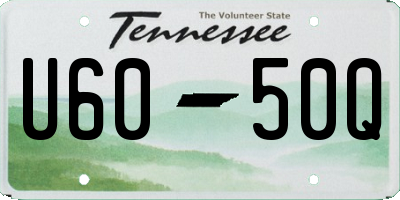 TN license plate U6050Q