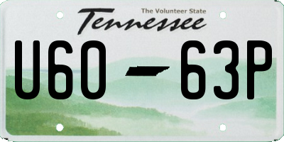TN license plate U6063P