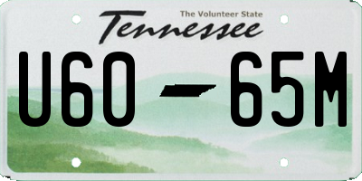 TN license plate U6065M