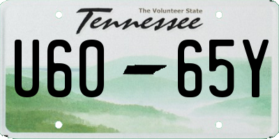 TN license plate U6065Y