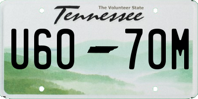 TN license plate U6070M