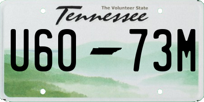 TN license plate U6073M