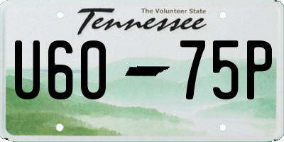 TN license plate U6075P
