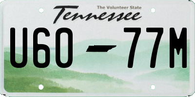 TN license plate U6077M
