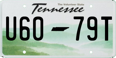 TN license plate U6079T