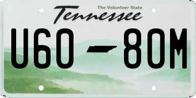 TN license plate U6080M