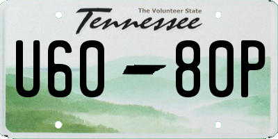 TN license plate U6080P