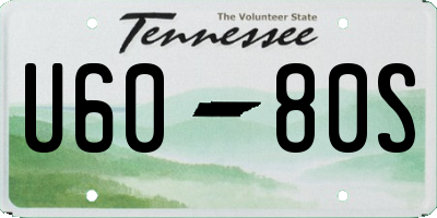 TN license plate U6080S
