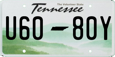 TN license plate U6080Y