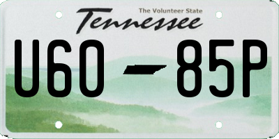 TN license plate U6085P