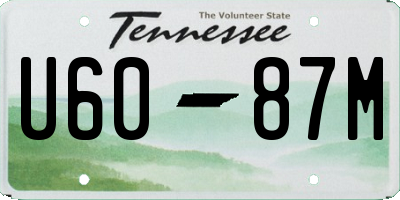 TN license plate U6087M