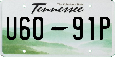 TN license plate U6091P