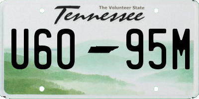 TN license plate U6095M