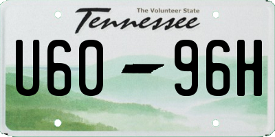 TN license plate U6096H