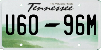 TN license plate U6096M