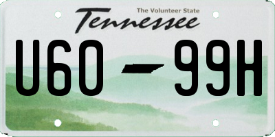 TN license plate U6099H