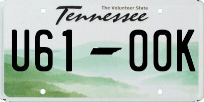 TN license plate U6100K