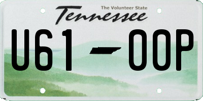 TN license plate U6100P