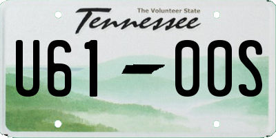 TN license plate U6100S