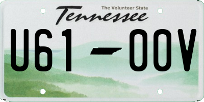 TN license plate U6100V