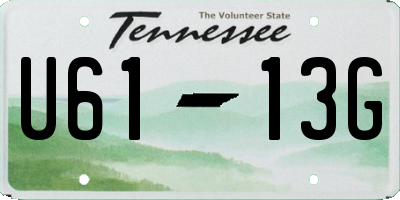 TN license plate U6113G
