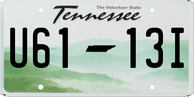 TN license plate U6113I