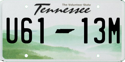 TN license plate U6113M