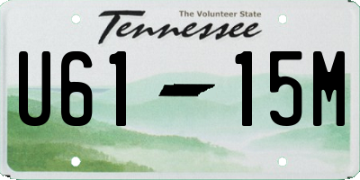 TN license plate U6115M