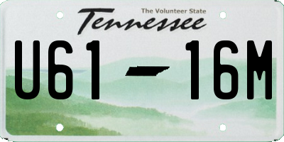 TN license plate U6116M