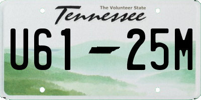 TN license plate U6125M