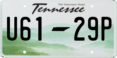 TN license plate U6129P