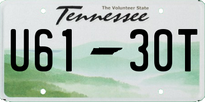 TN license plate U6130T