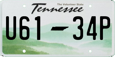 TN license plate U6134P