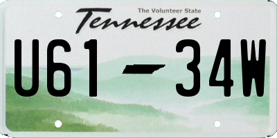 TN license plate U6134W