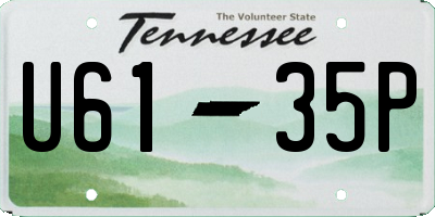 TN license plate U6135P